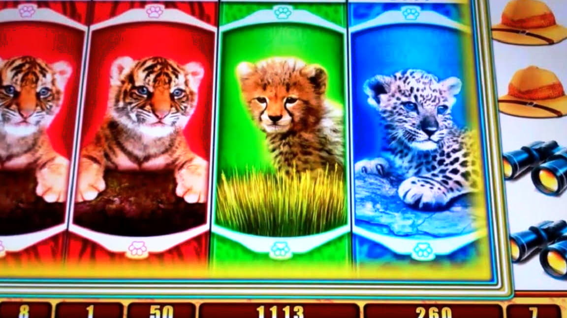 285 Free spins casino at Boa Boa Casino