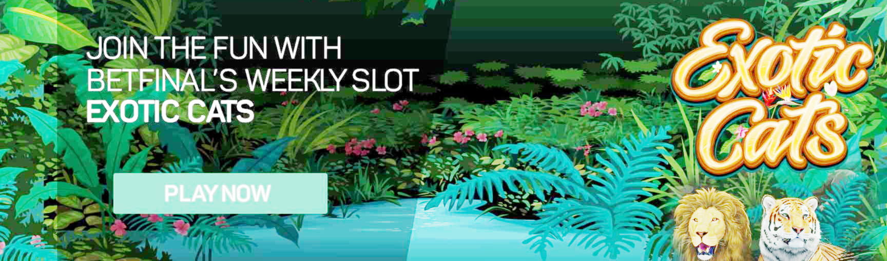 990% First Deposit Bonus at Casino com