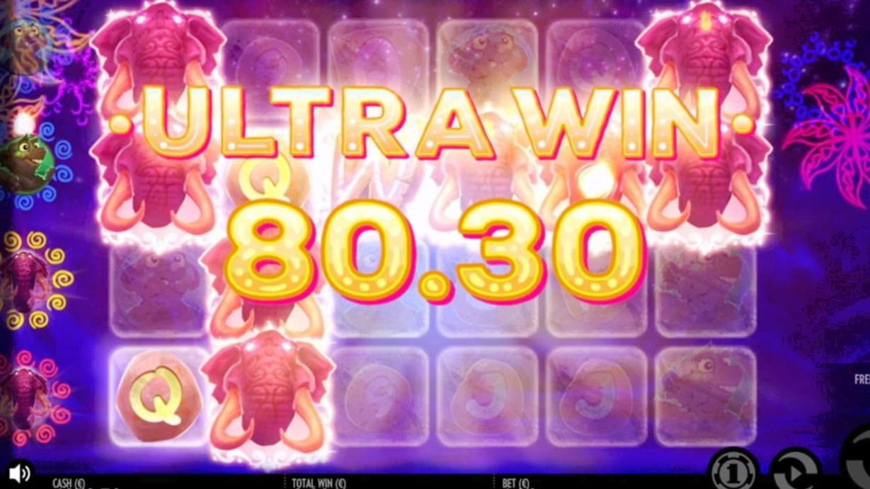$210 Casino tournaments freeroll at Unique Casino