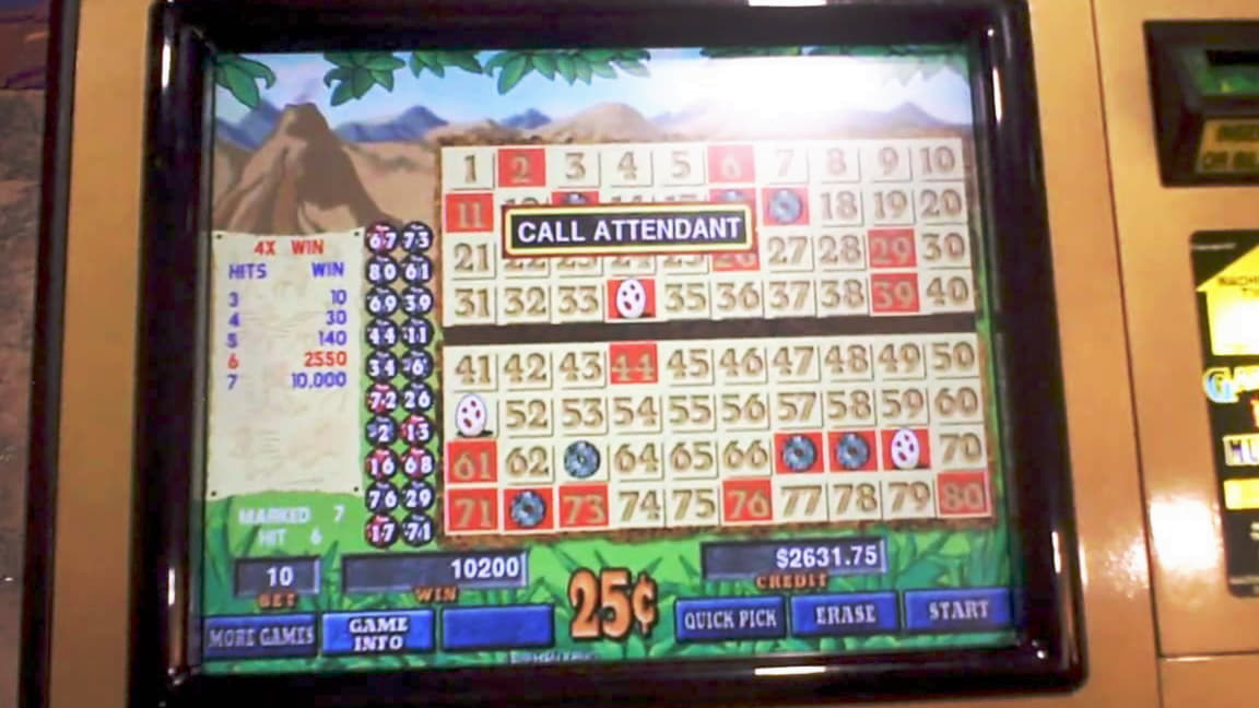 245 Free Spins Casino at Boa Boa Casino