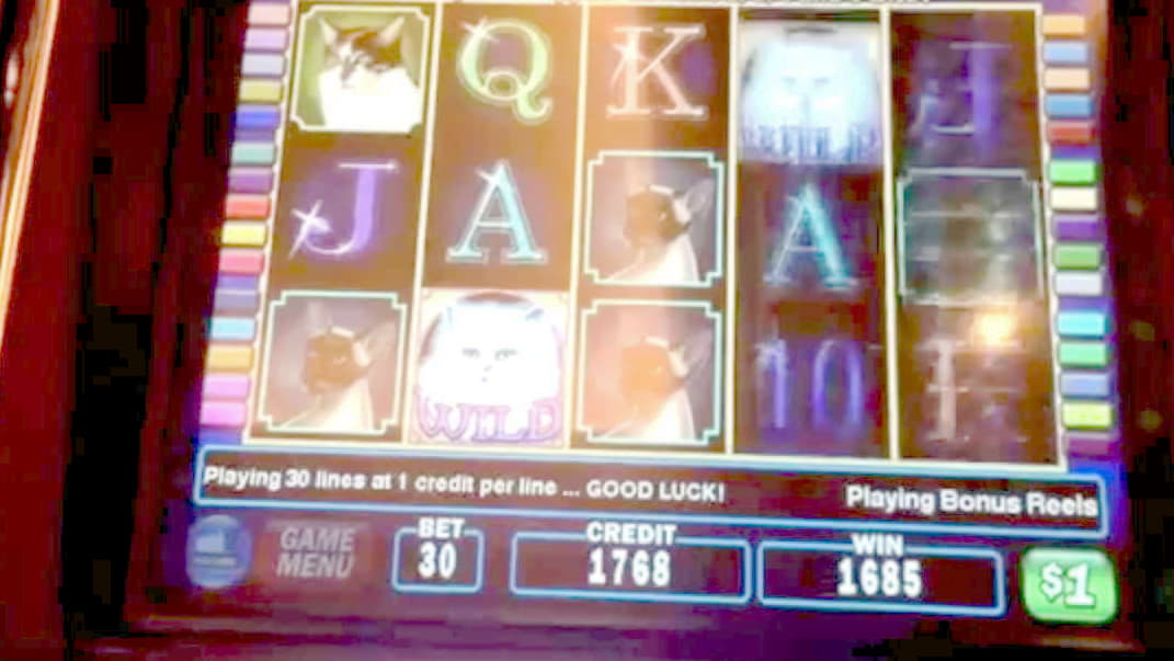$1375 No deposit casino bonus at Spin Palace Casino