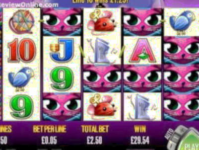 $220 Free Chip Casino at Casino com