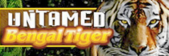 $970 Casino Tournament at Buran Casino
