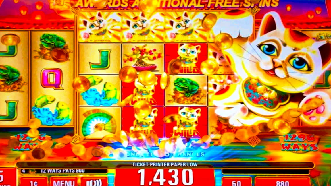 155 Free Spins at CasiPlay Casino
