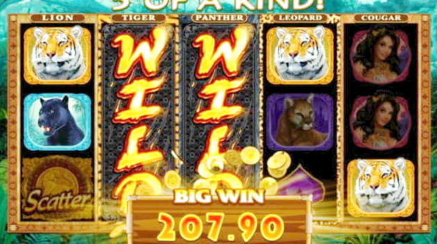 25 free spins casino at CasiPlay Casino