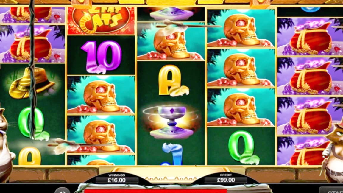 $205 No deposit bonus at Casino com