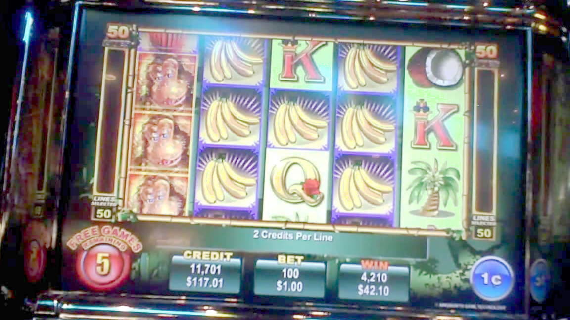 560% Welcome Bonus at Come On Casino