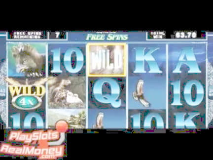 550% First Deposit Bonus at Spin Palace Casino