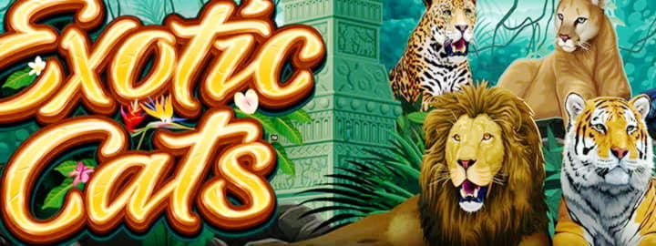 EUR 4570 NO DEPOSIT BONUS at Unique Casino