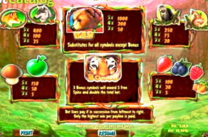 430% Match Bonus at YoYo Casino