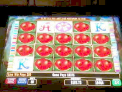 55 free spins no deposit casino at Treasure Island Jackpots Casino (Sloto Cash Mirror)