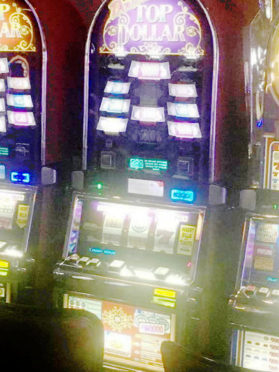 $66 Daily freeroll slot tournament at bWin Casino