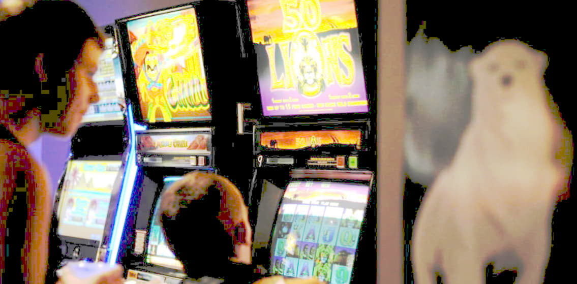 530% Match at a casino at King Billy Casino