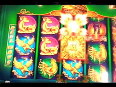 66 Free Spins Casino at William Hill Casino