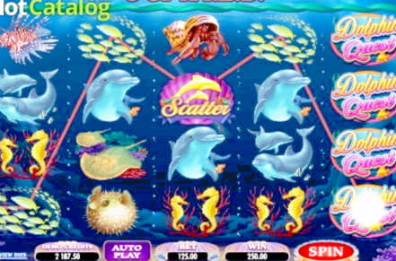 655% No Rules Bonus! at YoYo Casino