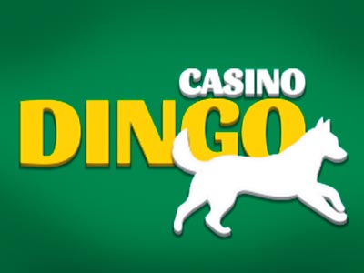 Casino Dingo